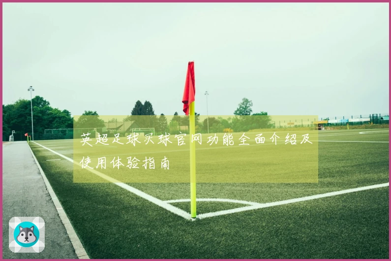 英超足球买球官网功能全面介绍及使用体验指南